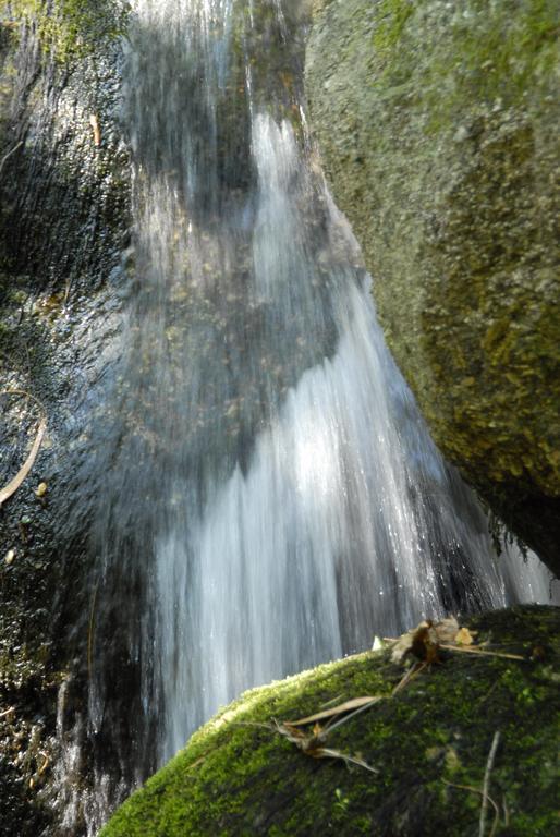 Отель Inatel Entre-Os-Rios Portela  Экстерьер фото